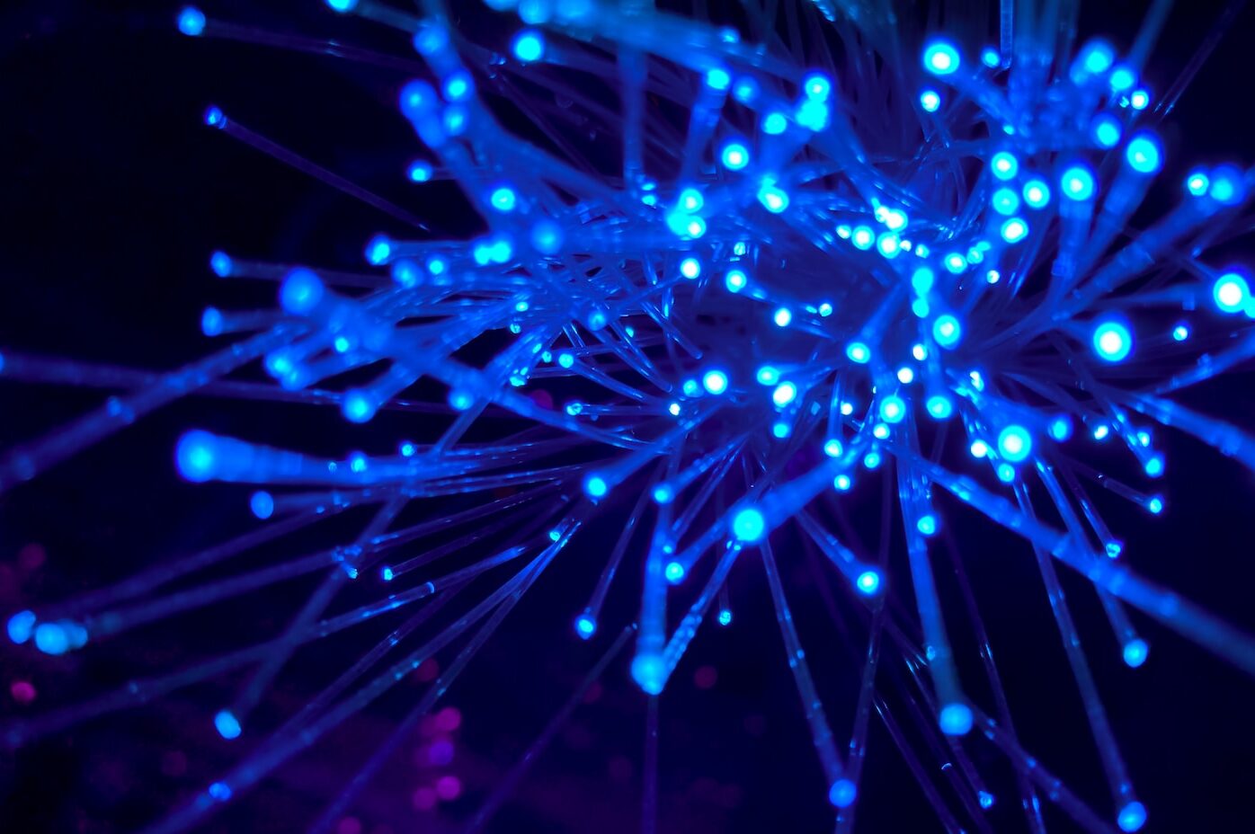 purple and blue light digital wallpaper